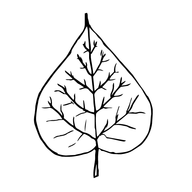 leaf stencil Download