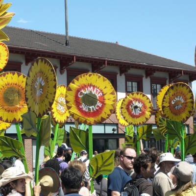 sunflower signs